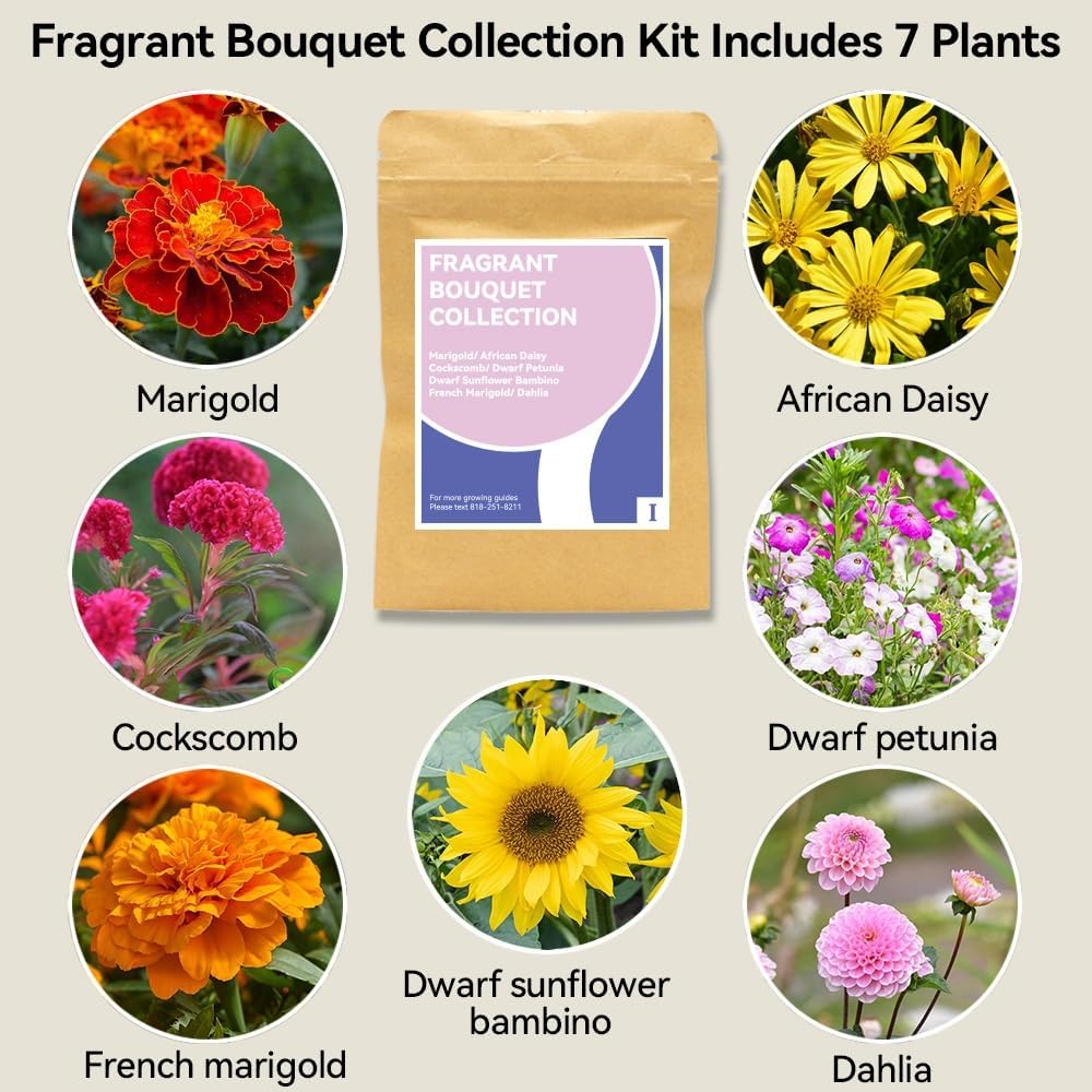 inbloom Fragrant Bouquet Seed Pod Kit for Hydroponics Growing System,with Grow Sponge & Grow Basket & AB Food & 7 Type of Seed,(7-Pods)