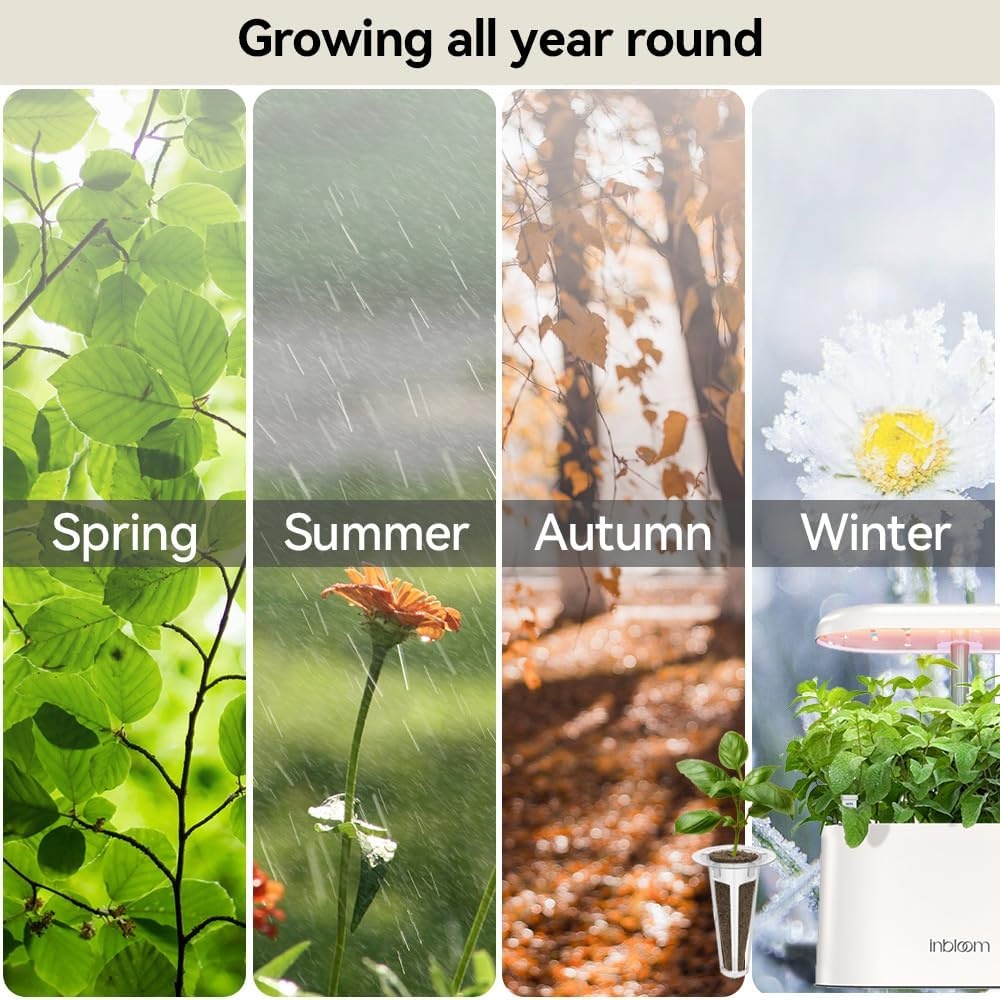 inbloom Fragrant Bouquet Seed Pod Kit for Hydroponics Growing System,with Grow Sponge & Grow Basket & AB Food & 7 Type of Seed,(7-Pods)