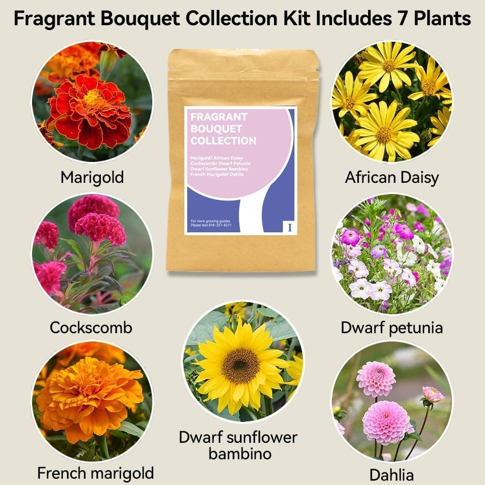 inbloom Fragrant Bouquet Seed Pod Kit for AeroGarden, iDoo, Ahopegarden, GARDENCUBE, 12 Pods (350+ Flower Seeds with Sunflower, Petunia, Mexican Marigold, Cockscomb, French Marigold, Dahlia)(Fragrant Bouquet)