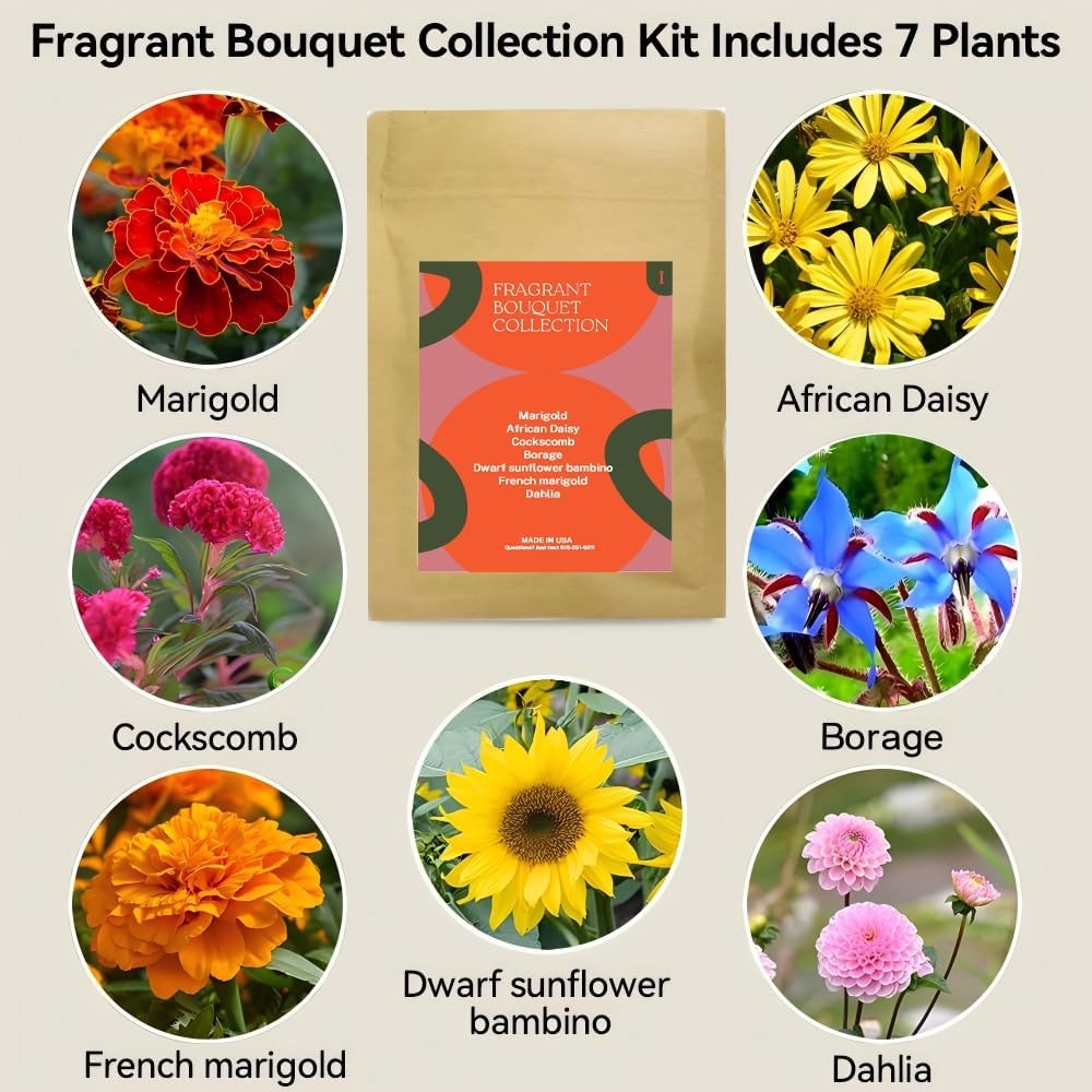 Inbloom 7-Pods Salad Greens Seed Pod Kit for AeroGarden, Ahopegarden, Gardencube Hydroponic Garden with Spinach, Buttercrunch, Paris & American Lettuce, Swiss Chard, Arugula, Bok Choy – 350 Seeds(Fragrant Flower)
