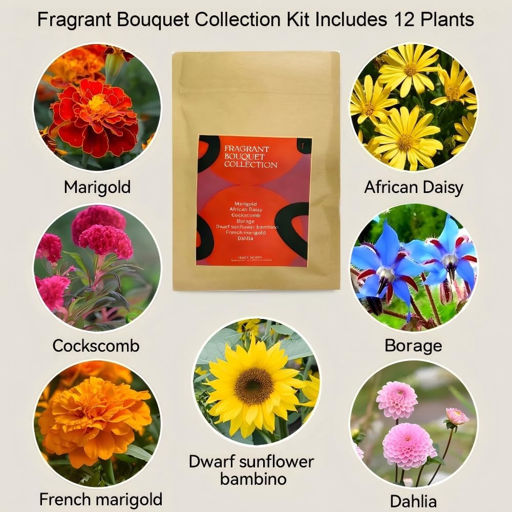 Inbloom 7-Pods Salad Greens Seed Pod Kit for AeroGarden, Ahopegarden, Gardencube Hydroponic Garden with Spinach, Buttercrunch, Paris & American Lettuce, Swiss Chard, Arugula, Bok Choy – 350 Seeds(Fragrant Flower)