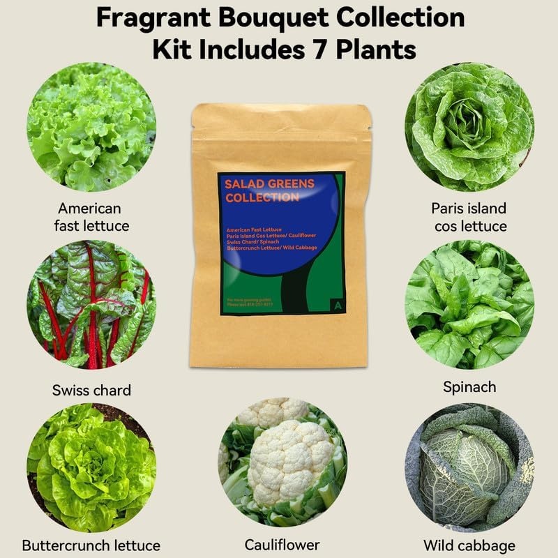 inbloom Salad Green Seed Pod Kit for Hydroponics Growing System, 7 Pods (350+ Seeds with American Fast/Paris Island/Buttercrunch Lettuce, Swiss Chard, Spinach, Cauliflower, and Wild Cabbage)