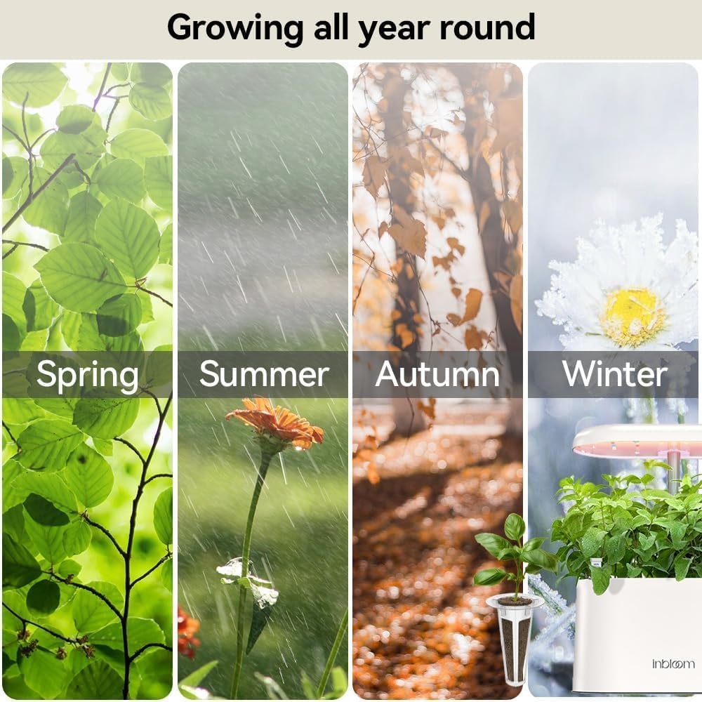 inbloom 7 Pods Fragrant Bouquet Flower Seed Pod Kit, 350+ Seeds | Compatible with AeroGarden, Ahopegarden, GARDENCUBE(Sunflower, Mexican Marigold, Cockscomb, French Marigold, Dahlia)(7 Pods)