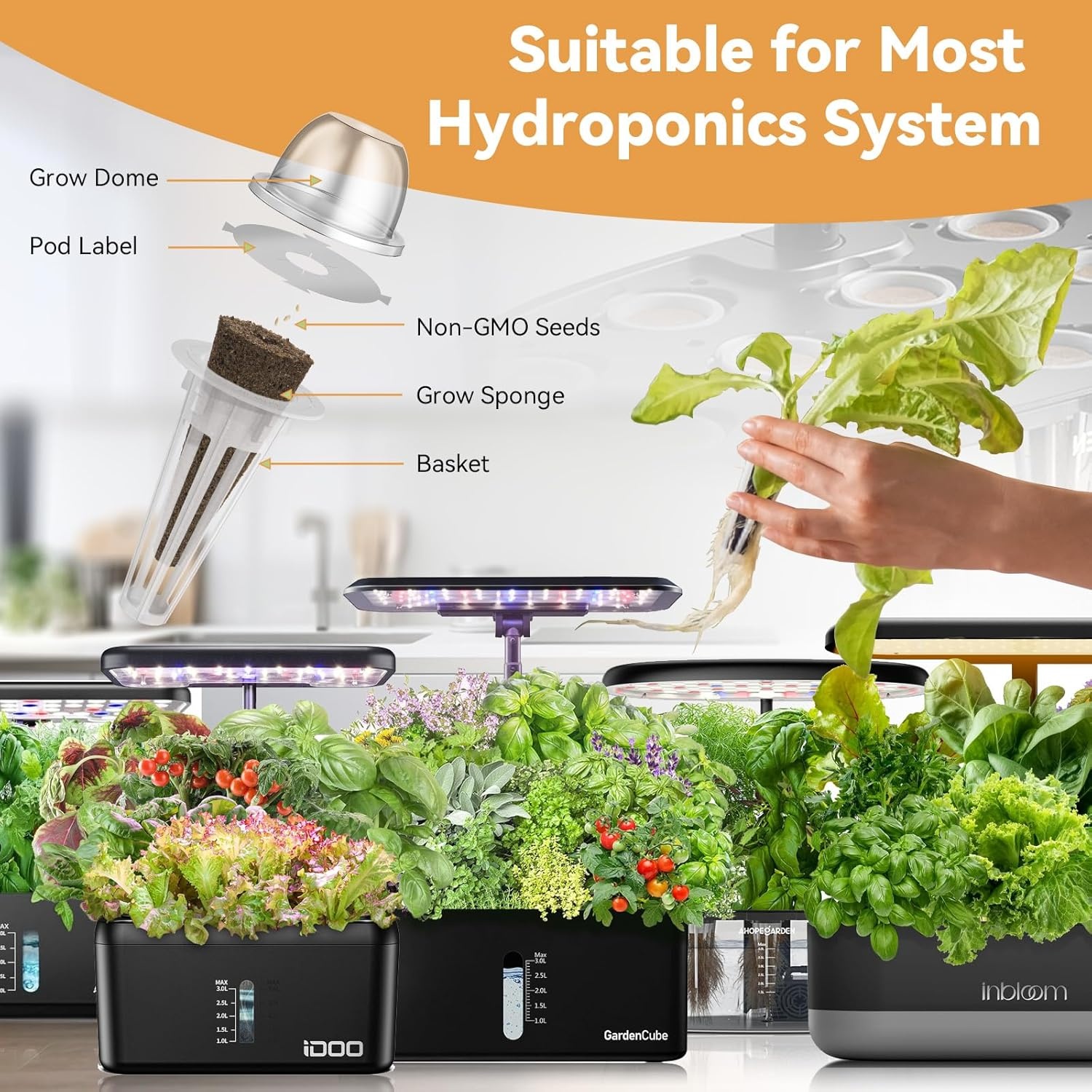 inbloom Vibrant Wildflower & Fruit Mixd Seed Pod Kit for AeroGarden, Ahopegarden Hydroponics Growing System, 7-Pods (350+ Seeds, Include Dwarf Sunflower, Marigold, Red Cherry Tomato, Red Strawberry(Sunflower  Marigold  Tomato  Strawberry)