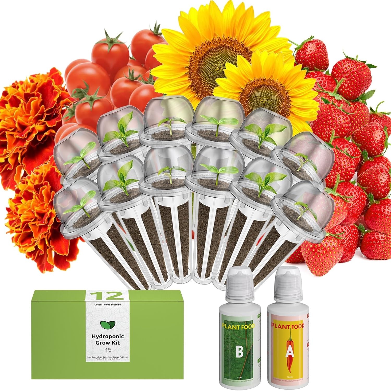 inbloom Vibrant Wildflower & Fruit Mixd Seed Pod Kit for AeroGarden, Ahopegarden Hydroponics Growing System, 7-Pods (350+ Seeds, Include Dwarf Sunflower, Marigold, Red Cherry Tomato, Red Strawberry(Sunflower  Marigold  Tomato  Strawberry)