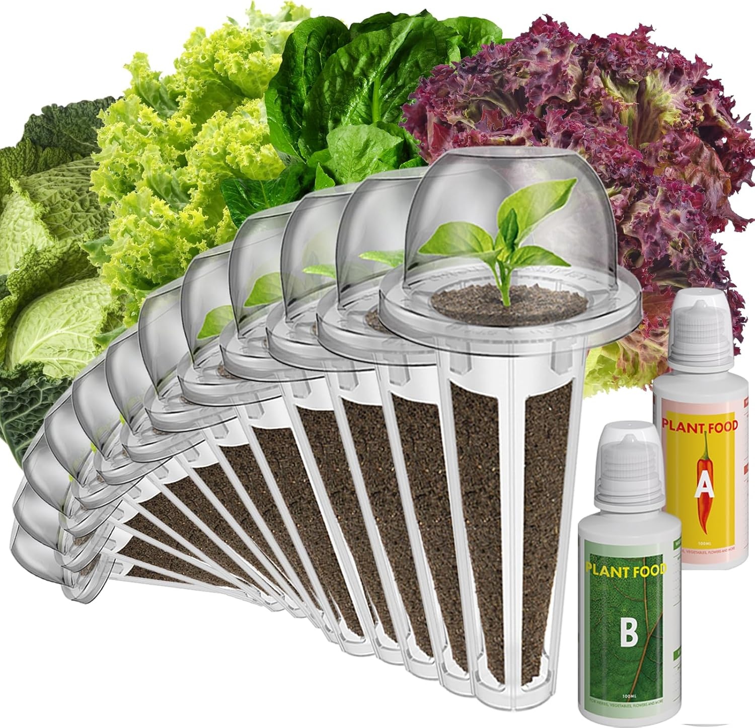 inbloom Salad Seed Pod Kit Compatible with AeroGarden, Ahopegarden, iDoo, MUFGA Hydroponics Growing System, 400+ Mixed Seeds with American Fast/Paris Island/Buttercrunch/Romaine Lettuce (7-Pod)(Mixed Lettuce)