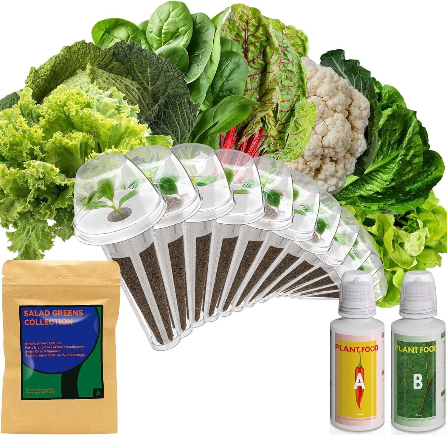 inbloom Salad Seed Pod Kit Compatible with AeroGarden, Ahopegarden, iDoo, MUFGA Hydroponics Growing System, 400+ Mixed Seeds with American Fast/Paris Island/Buttercrunch/Romaine Lettuce (7-Pod)(Salad Green)