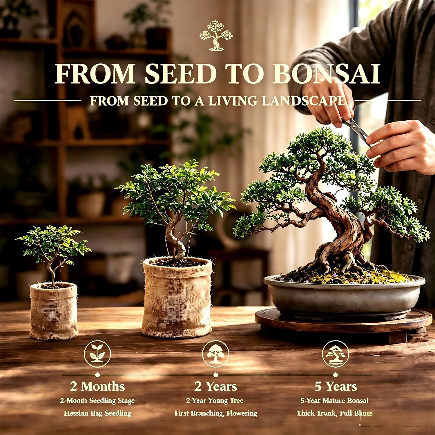 8 Pack Bonsai Tree Kit with Complete Tools, 8X Unique Seeds Bonzai Tree Live Kits, Complete Indoor Bonsai Starter Kit with Woven Basket, Perfect Garden Gift for Mom, Men, Women, Plant Lover