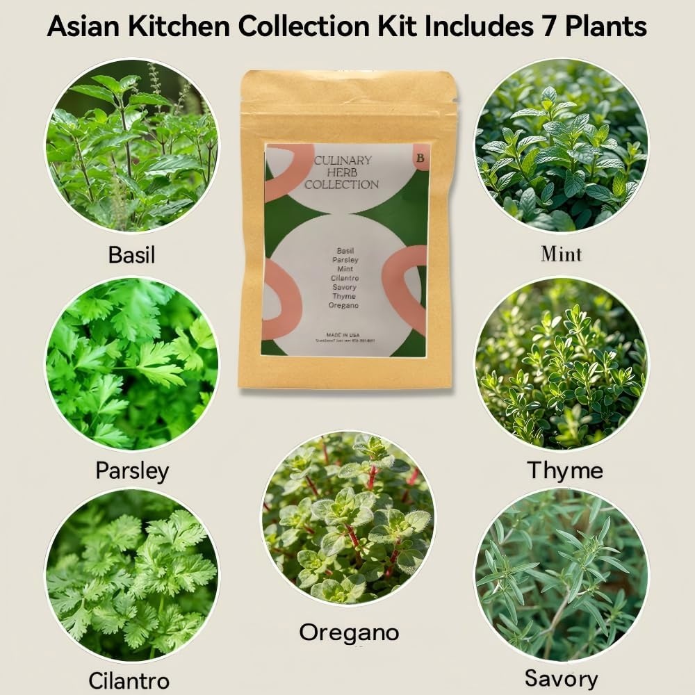 Inbloom 7-Pods Salad Greens Seed Pod Kit for AeroGarden, Ahopegarden, Gardencube Hydroponic Garden with Spinach, Buttercrunch, Paris & American Lettuce, Swiss Chard, Arugula, Bok Choy – 350 Seeds(Herb)