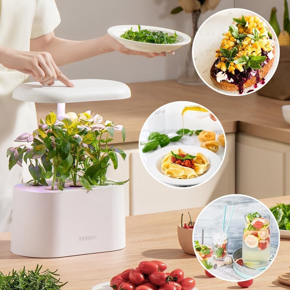 Inbloom 7-Pods Salad Greens Seed Pod Kit for AeroGarden, Ahopegarden, Gardencube Hydroponic Garden with Spinach, Buttercrunch, Paris & American Lettuce, Swiss Chard, Arugula, Bok Choy – 350 Seeds(Herb)