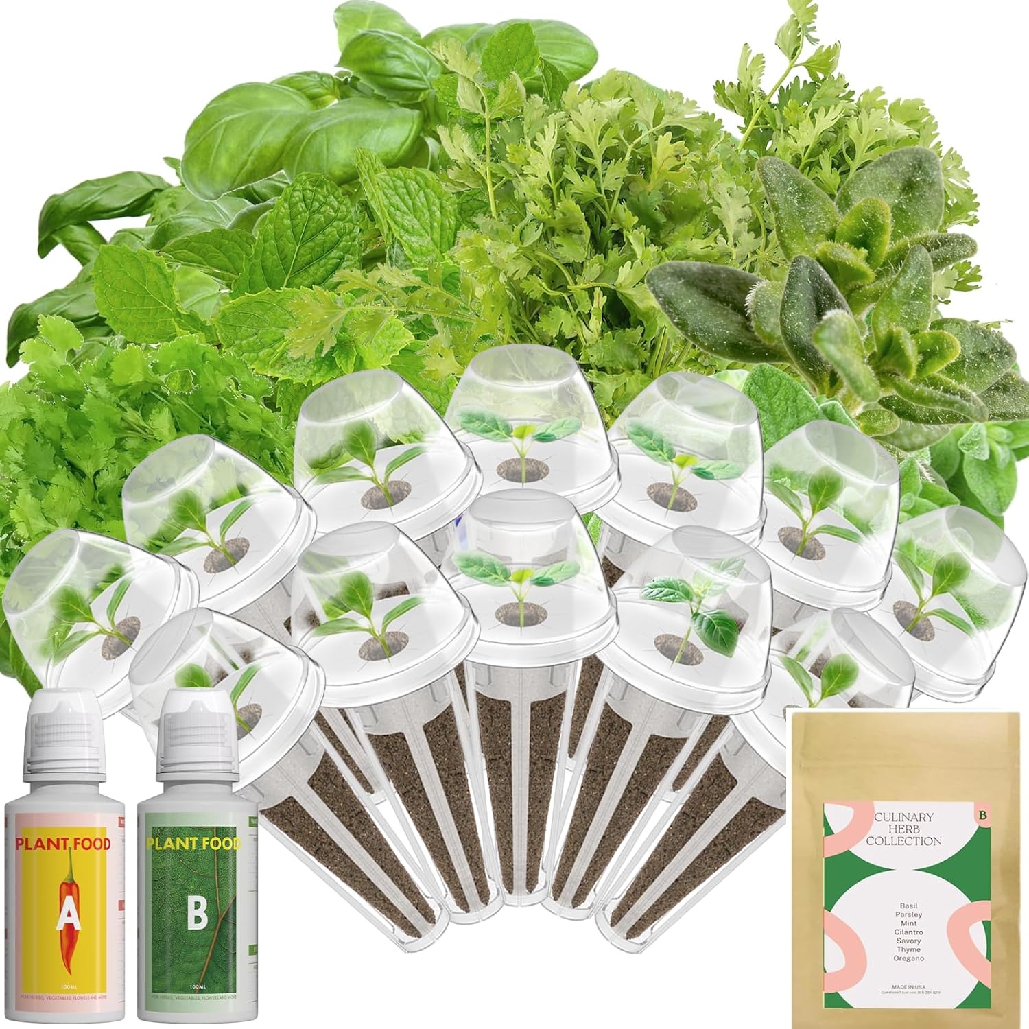 Inbloom 7-Pods Salad Greens Seed Pod Kit for AeroGarden, Ahopegarden, Gardencube Hydroponic Garden with Spinach, Buttercrunch, Paris & American Lettuce, Swiss Chard, Arugula, Bok Choy – 350 Seeds(Herb)