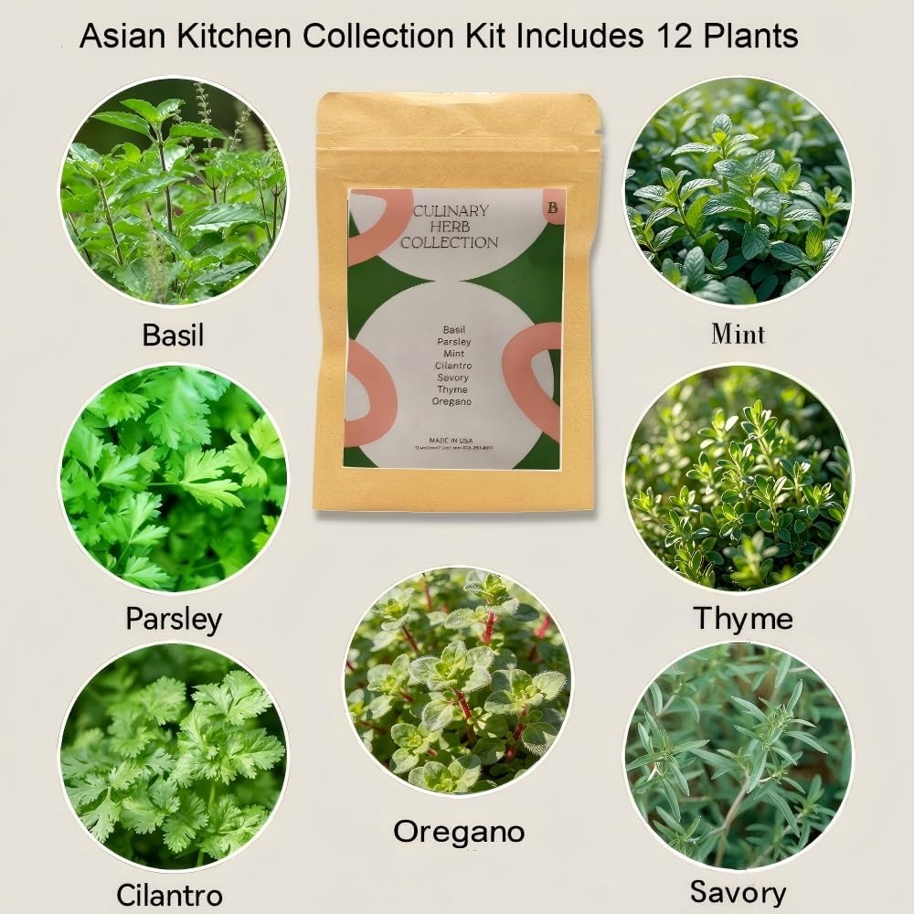 Inbloom 7-Pods Salad Greens Seed Pod Kit for AeroGarden, Ahopegarden, Gardencube Hydroponic Garden with Spinach, Buttercrunch, Paris & American Lettuce, Swiss Chard, Arugula, Bok Choy – 350 Seeds(Herb)