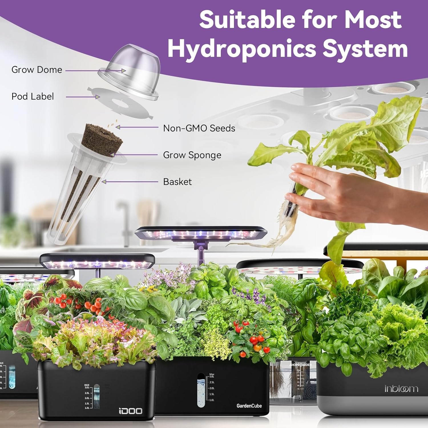 inbloom Vibrant Wildflower & Fruit Mixd Seed Pod Kit for AeroGarden, Ahopegarden Hydroponics Growing System, 7-Pods (350+ Seeds, Include Dwarf Sunflower, Marigold, Red Cherry Tomato, Red Strawberry(Lettuce)