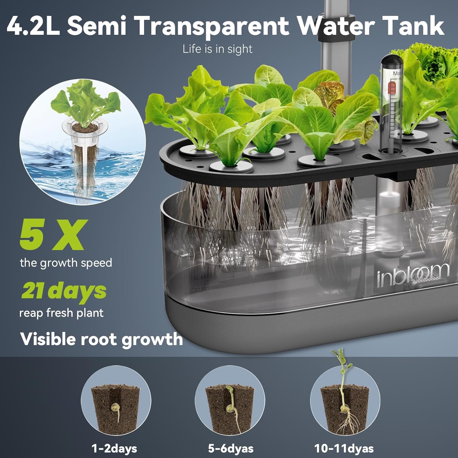 inbloom 12 Pods Hydroponics Growing System Kit, Herb Garden Planter Indoor Kit, Indoor Gardening Hydroponics Growing System with 4.2L Water Pump, Height Adjustable, Gifts for Woman, Transparent Black(Trans-Black)