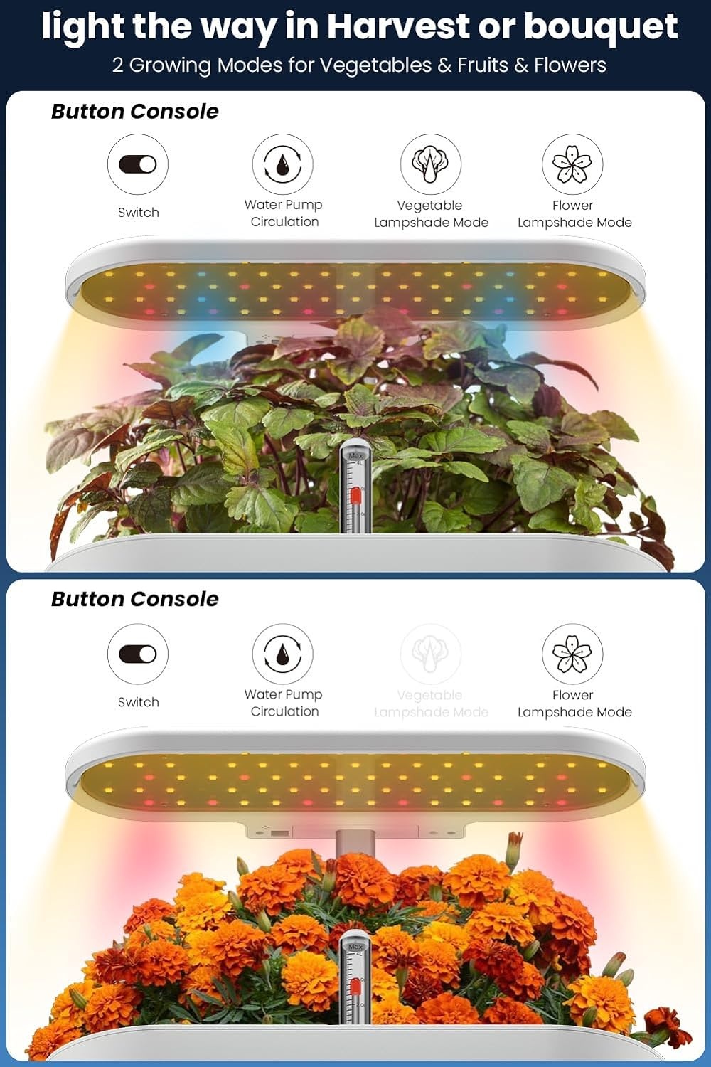 inbloom 12 Pods Hydroponics Growing System Kit, Herb Garden Planter Indoor Kit, Indoor Gardening Hydroponics Growing System with 4.2L Water Pump, Height Adjustable, Gifts for Woman, Transparent Black(White)