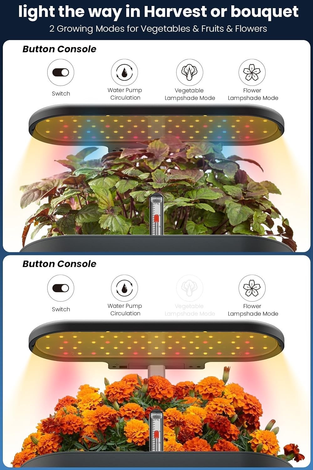 inbloom 12 Pods Hydroponics Growing System Kit, Herb Garden Planter Indoor Kit, Indoor Gardening Hydroponics Growing System with 4.2L Water Pump, Height Adjustable, Gifts for Woman, Transparent Black(Black)