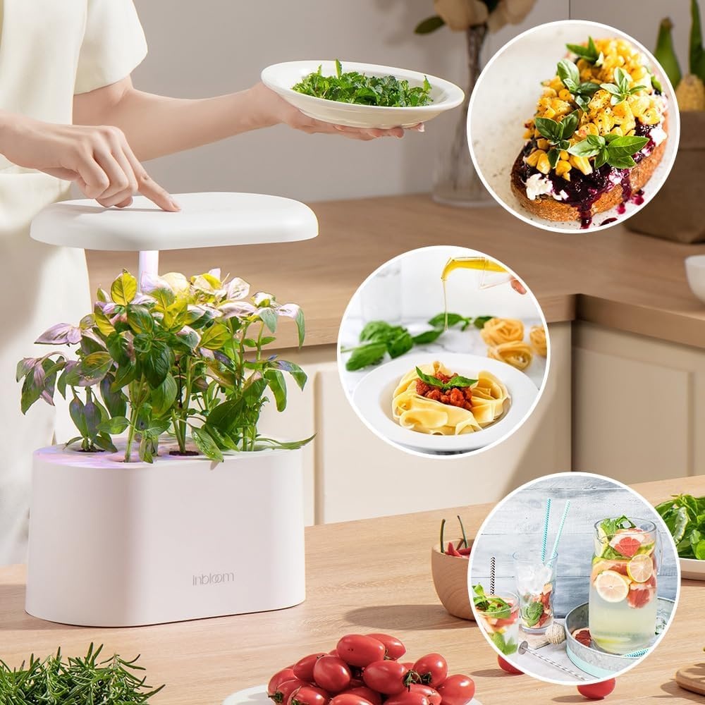 Wild Flower Seed Hydroponic Pod Kit Compatible with Aerogarden, Ahopegarden, Letpot, 7 Pods with Variety Seeds(Blush Hibiscus, Coneflower, Dahlia, Viola, Lavender, French Marigold, Snapdragon)(Asian Herb)