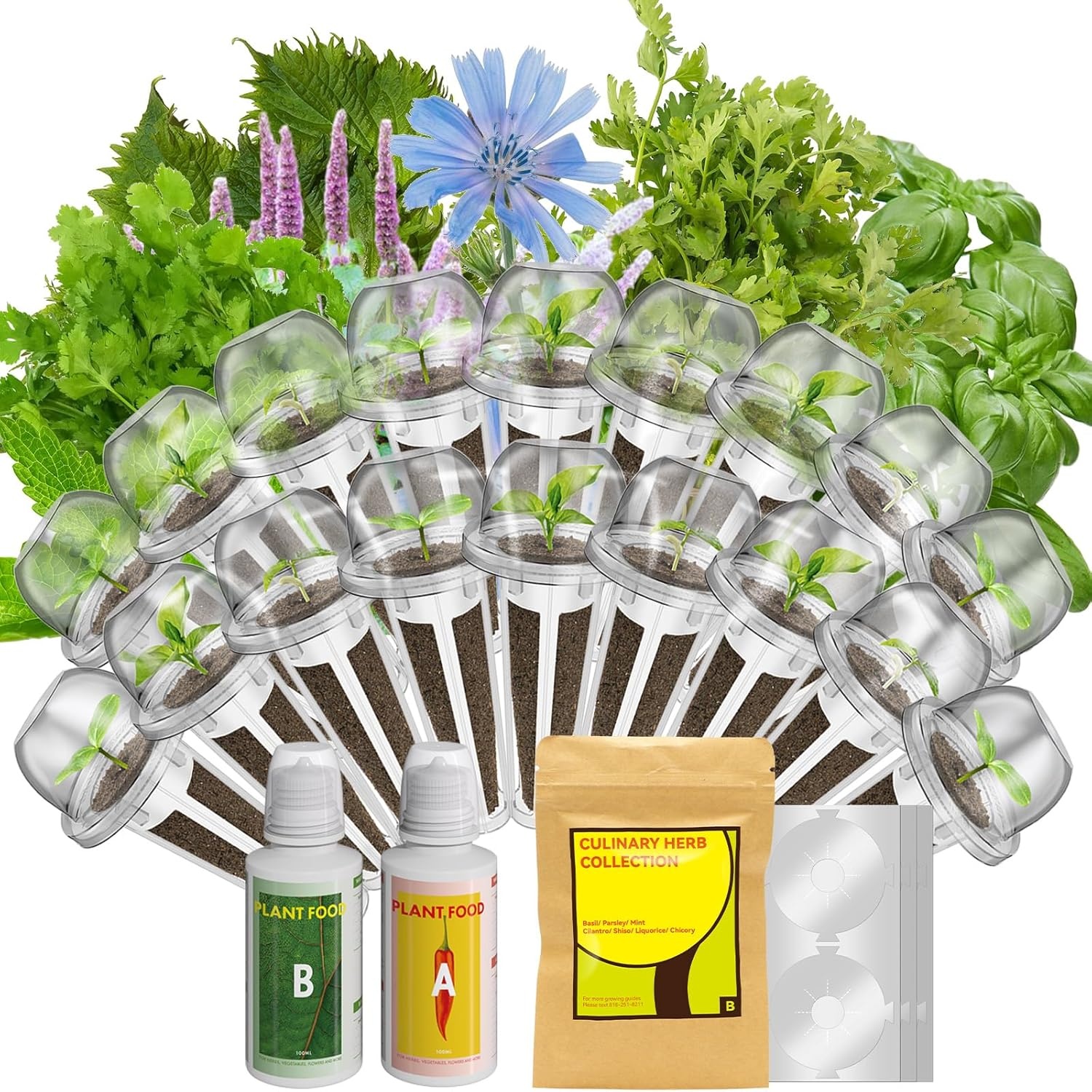 inbloom 12-Pod Pepper Seed Pod Kit for AeroGarden, iDOO, Ahopegarden Hydroponic Growing System, Include Cucumber, Red&Golden Tomato, Red Chili Pepper, Green&Yellow Pepper, Purple Pepper, 400+ Seeds(Herb)