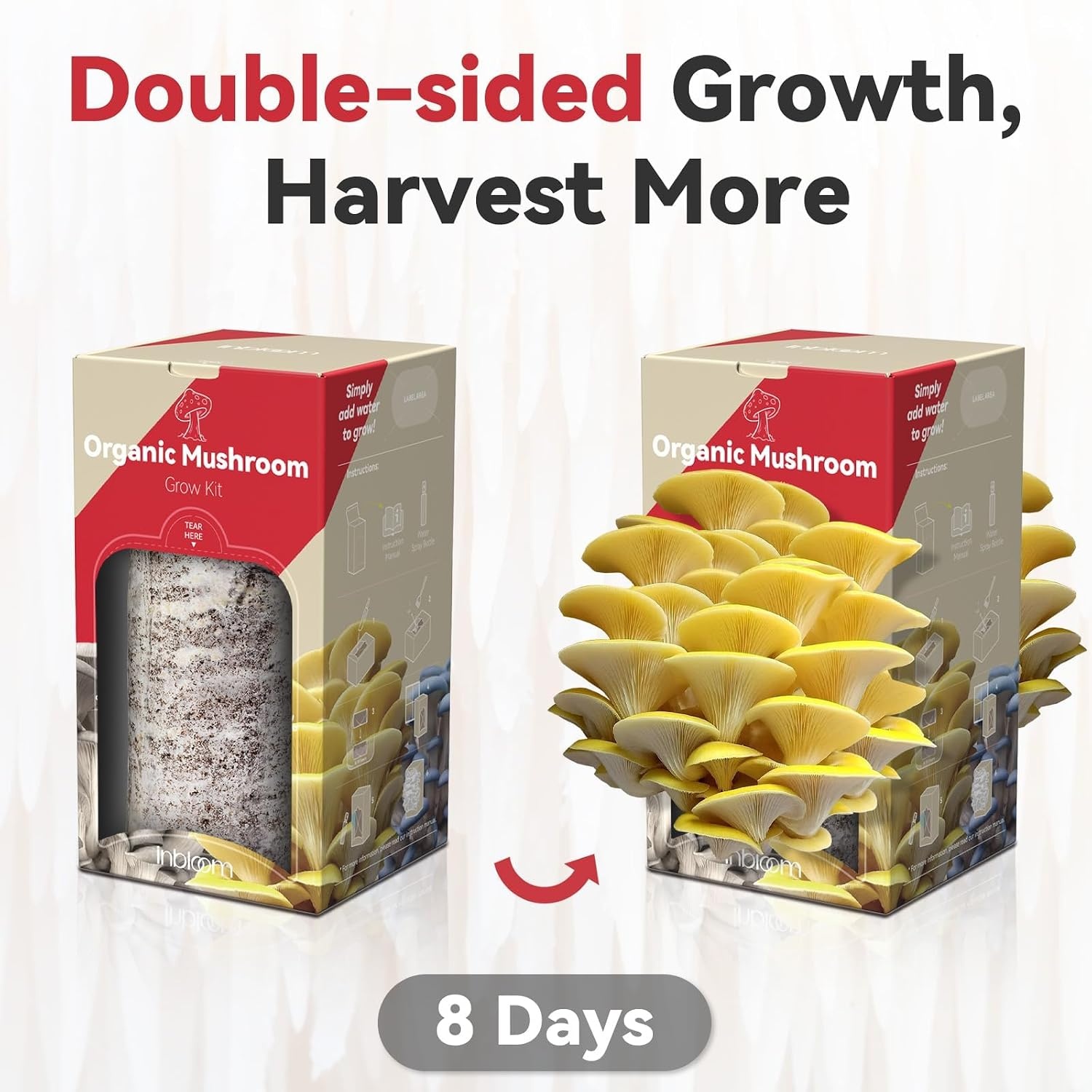 inbloom 4 lbs Organic Oyster Mushroom Growing Kit | Double-Side Mushroom Growing Kit, Edible Non-GMO Mushroom Kit, Grow Mushroom at Home,Indoor Gardening Gift Great Holiday Gift(Gold)
