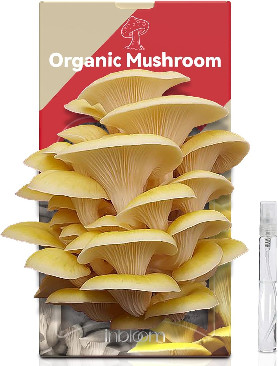 inbloom 4 lbs Organic Oyster Mushroom Growing Kit | Double-Side Mushroom Growing Kit, Edible Non-GMO Mushroom Kit, Grow Mushroom at Home,Indoor Gardening Gift Great Holiday Gift(Gold)