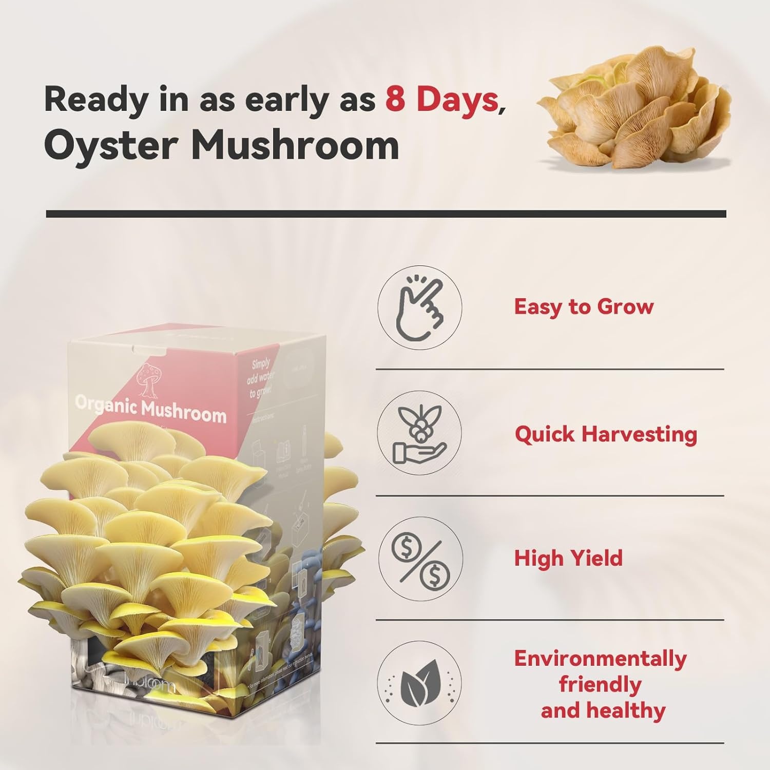 inbloom Organic Oyster Mushroom Growing Kit with Spray, Harvest Fresh Mushrooms at Home, Beginner Friendly & Easy to Use, Unique Gardening Gift for Holiday, Handmade in New Jersey, USA(Golden Oyster Mushroom)