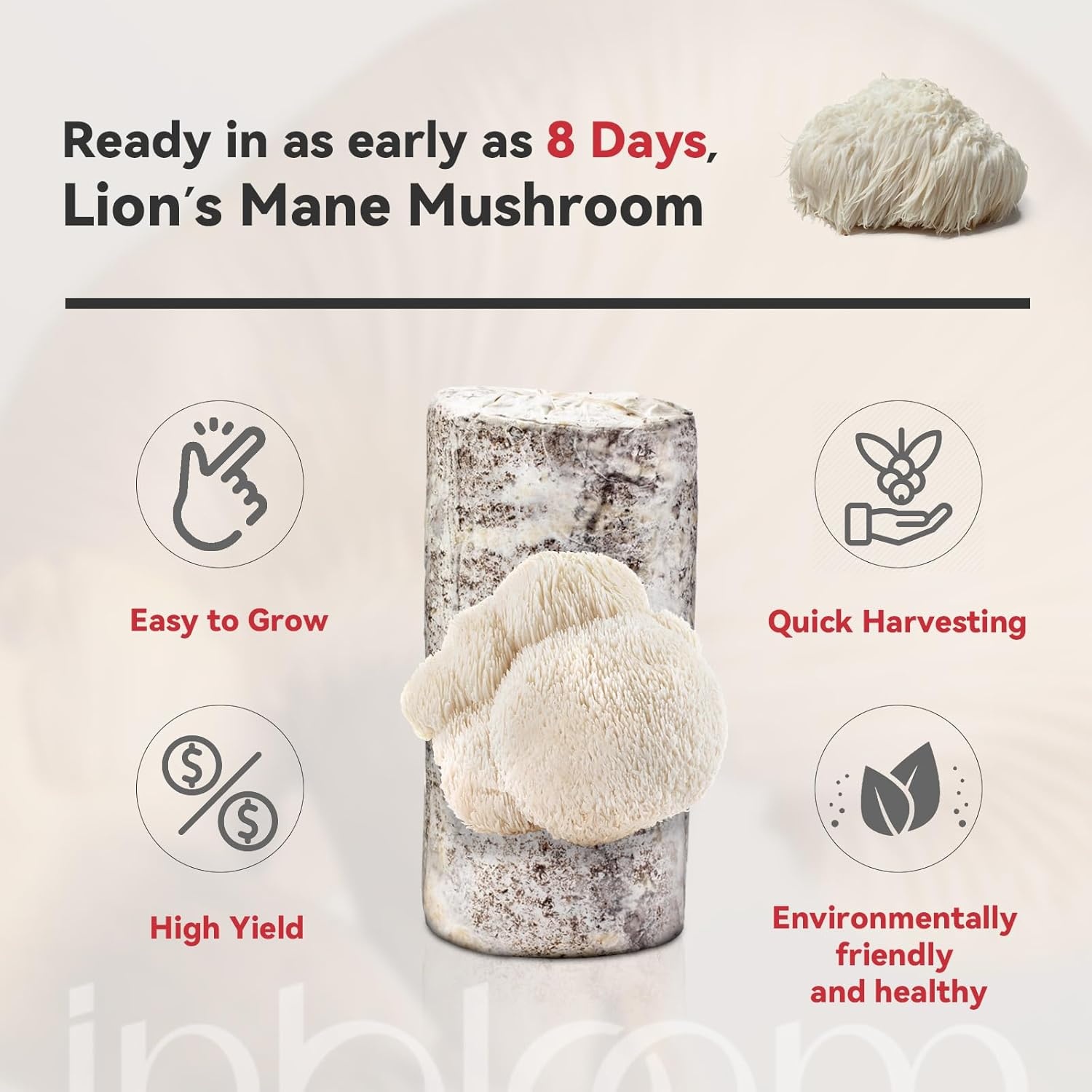 inbloom Organic Oyster Mushroom Growing Kit with Spray, Harvest Fresh Mushrooms at Home, Beginner Friendly & Easy to Use, Unique Gardening Gift for Holiday, Handmade in New Jersey, USA(Lion’s Mane)