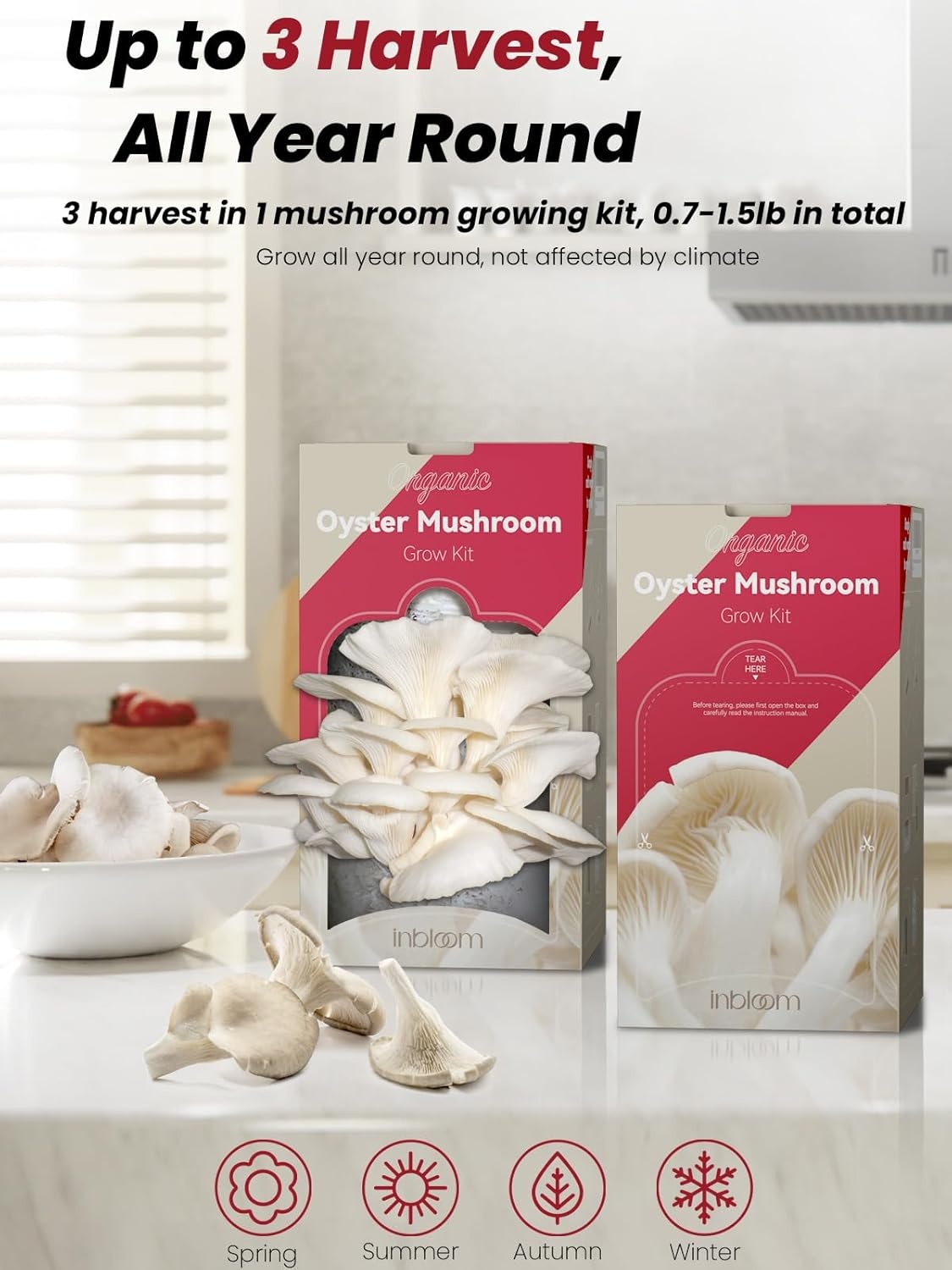 inbloom Organic Oyster Mushroom Growing Kit with Spray, Harvest Fresh Mushrooms at Home, Beginner Friendly & Easy to Use, Unique Gardening Gift for Holiday, Handmade in New Jersey, USA(Gray Oyster Mushroom)