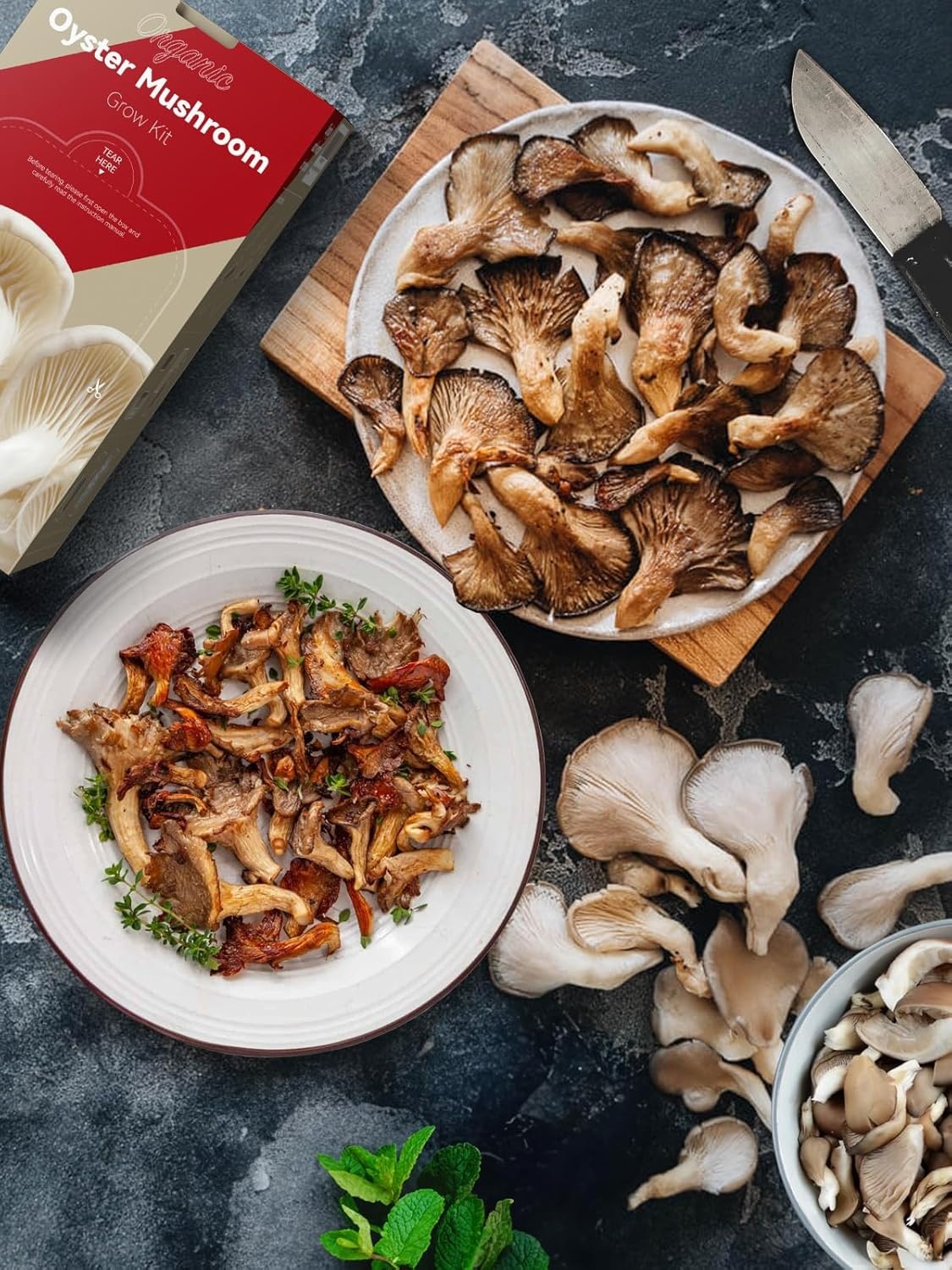 inbloom Organic Oyster Mushroom Growing Kit with Spray, Harvest Fresh Mushrooms at Home, Beginner Friendly & Easy to Use, Unique Gardening Gift for Holiday, Handmade in New Jersey, USA(Gray Oyster Mushroom)